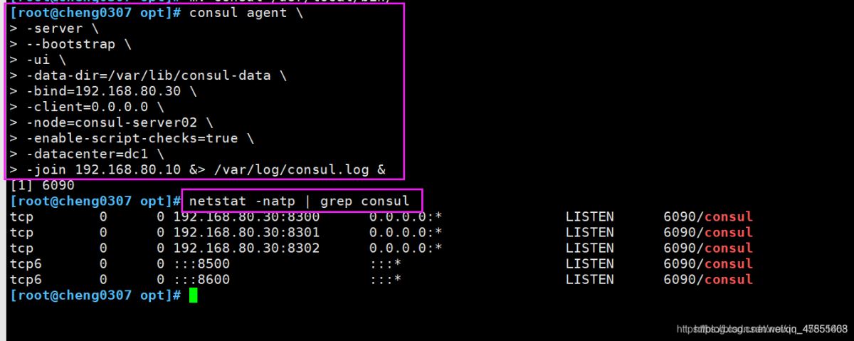 Docker consul的容器服務更新與發現的問題小結