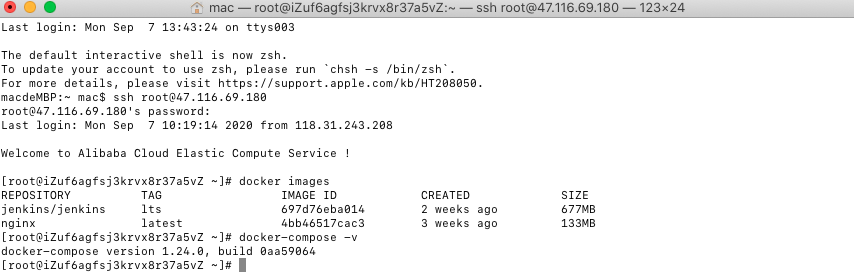 基于Docker、Nginx和Jenkins實現前端自動化部署