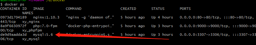 Docker如何快速搭建LNMP環(huán)境(最新)