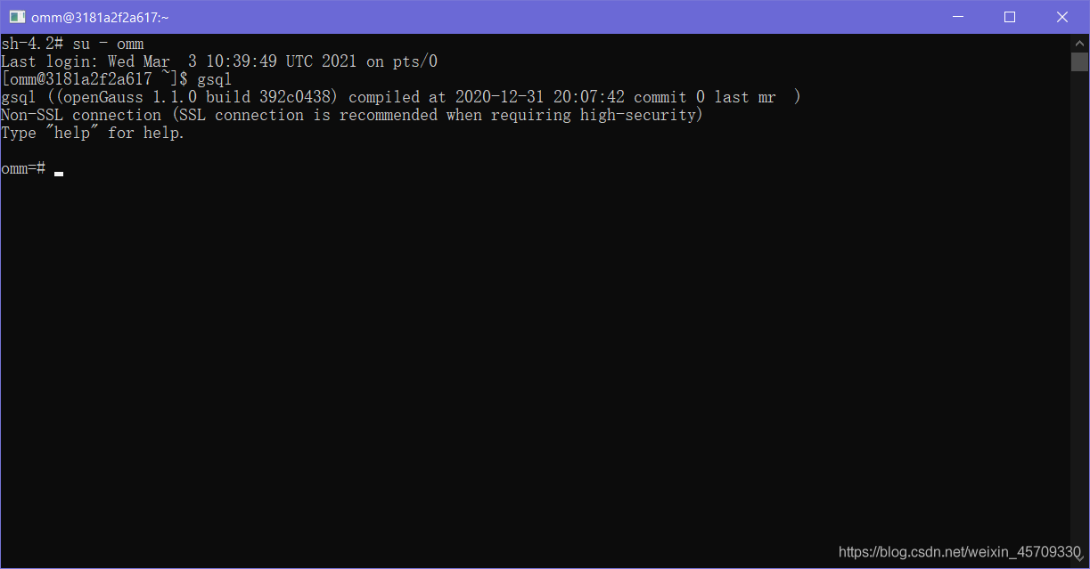 docker配置openGauss數據庫的方法詳解