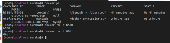 docker 中配置 eureka的方法