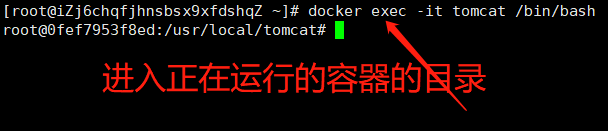 Docker方式啟動tomcat訪問首頁出現404錯誤
