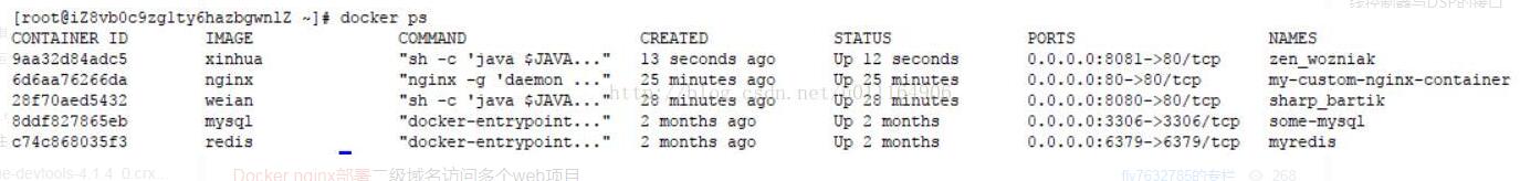 docker nginx實現一個主機部署多個站點操作