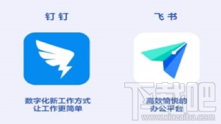 飛書和釘釘哪個好用？飛書與釘釘區別對比