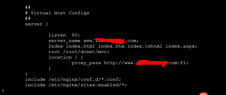 nginx這個反向代理配的有問題嗎？
