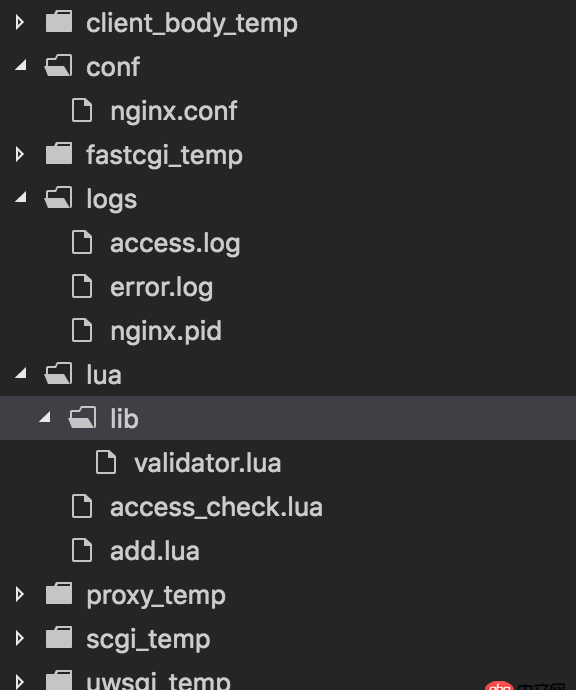 nginx - openresty無法使用require
