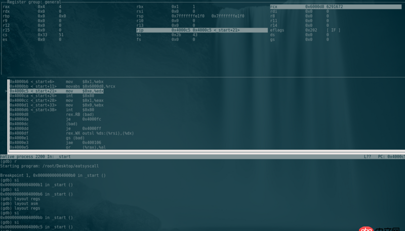 linux - GDB 調(diào)試 ASM文件 查看執(zhí)行到第幾行