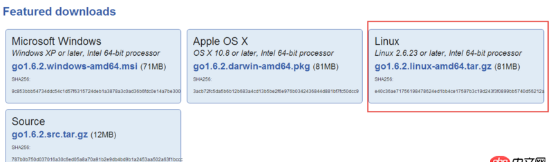 golang - 在centos7.2上安裝go語言的問題