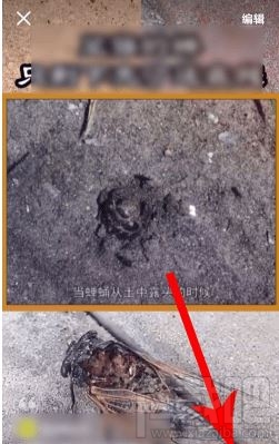 2019我的快手影集怎么制作？2019我的快手影集圖文教程分享