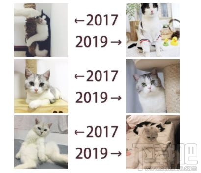 朋友圈曬2017-2019什么意思 發2017和2019對比的是什么梗