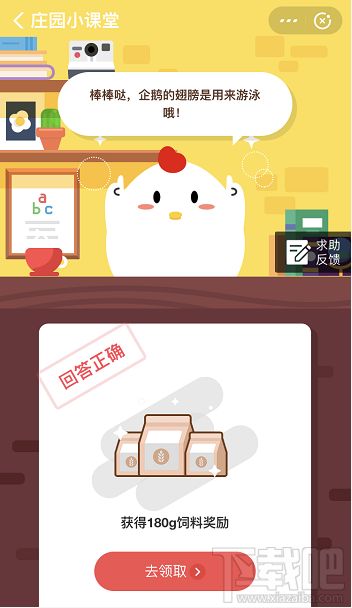 支付寶螞蟻莊園11月19日答案 企鵝的翅膀是用來干什么的