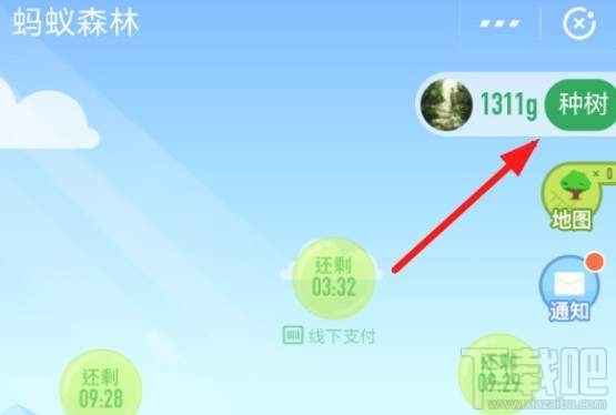 支付寶螞蟻森林保護地怎么認領