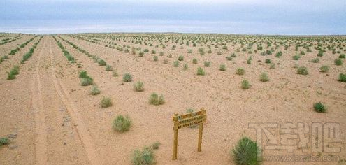 螞蟻森林全民義務(wù)植樹盡責(zé)證書怎么得