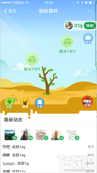 支付寶螞蟻森林增加新功能 可幫好友收能量