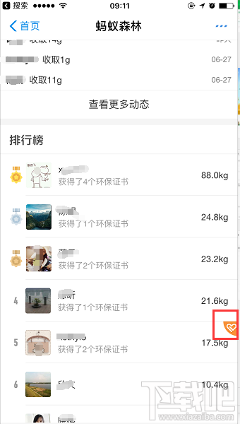 支付寶螞蟻森林增加新功能 可幫好友收能量