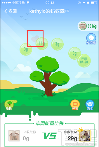 支付寶螞蟻森林增加新功能 可幫好友收能量
