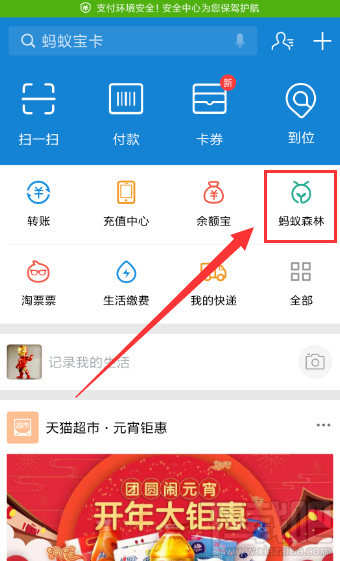 支付寶種樹怎么收集能量？支付寶種樹收集能量方法