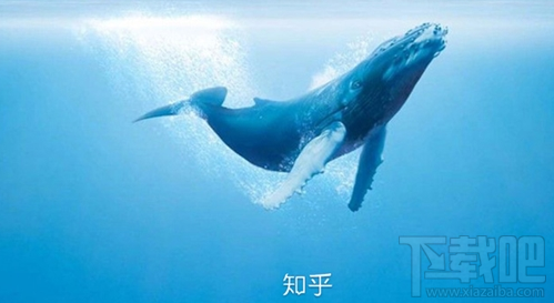 知乎知卡怎么樣？知乎知卡資費(fèi)介紹