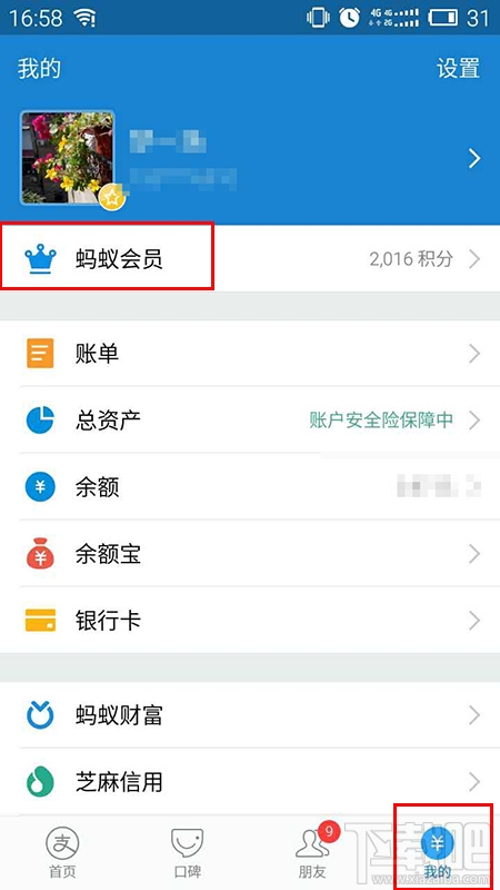 怎么看支付寶等級(jí)？怎么看自己是不是支付寶鉑金會(huì)員？