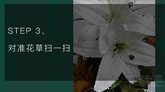 QQ瀏覽器識你所見是什么？QQ瀏覽器識你所見怎么玩？