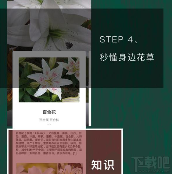 QQ瀏覽器識你所見是什么？QQ瀏覽器識你所見怎么玩？