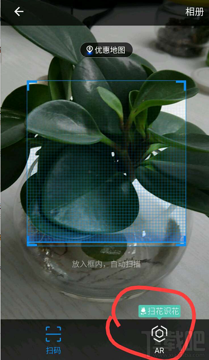 支付寶掃花識(shí)花功能怎么玩?