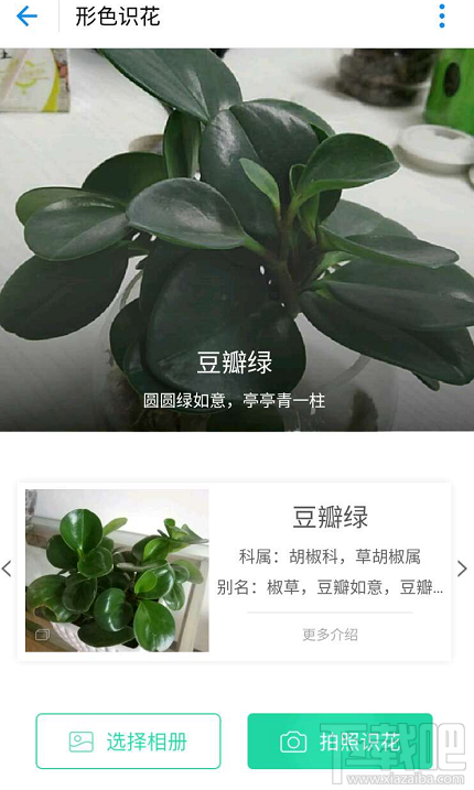 支付寶掃花識(shí)花功能怎么玩?