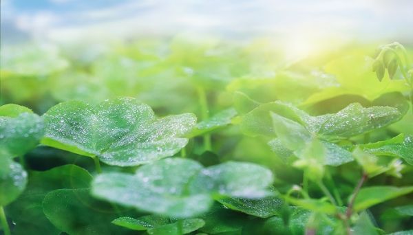 享受大自然的心情說說 享受大自然如何發(fā)朋友圈