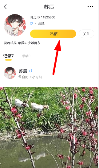 耳覓中將聊天記錄清除具體操作步驟