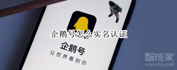 企鵝號怎么實名認證