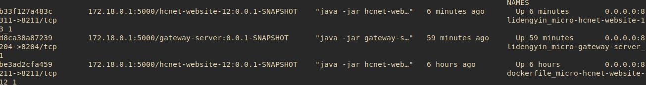 docker利用單個鏡像映射到多個端口操作