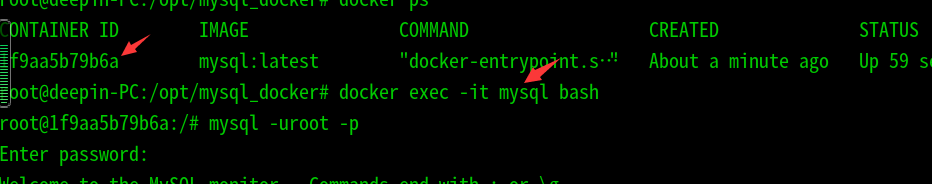 Deepin使用docker安裝mysql數據庫過程詳解