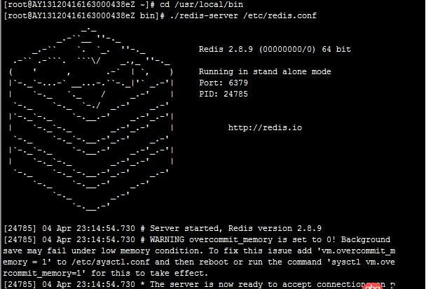 redis啟動有問題？