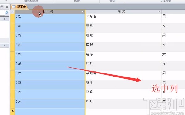 Microsoft Office Access凍結字段的方法