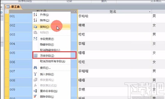 Microsoft Office Access凍結字段的方法