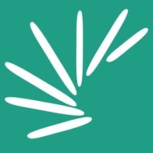 扇貝單詞詳細(xì)玩法介紹