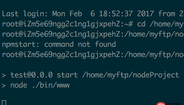 node.js - 終端 遠程連接服務器，終端關閉后，服務器無法運行