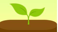 forest如何更改標簽？更改標簽的步驟分享