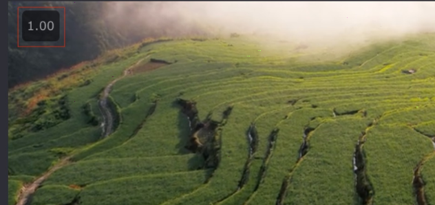 video speed controller設(shè)置倍數(shù)步驟介紹