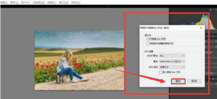 lightroom設置dng保存格式步驟介紹