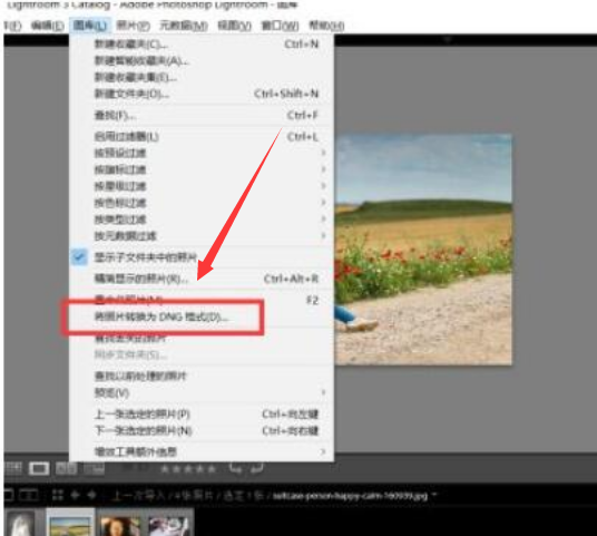 lightroom設置dng保存格式步驟介紹