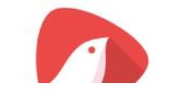 在頭牌里怎么訂閱頭牌？訂閱頭牌的方法介紹