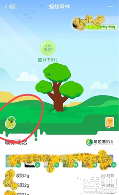 螞蟻森林模擬地圖從哪進？