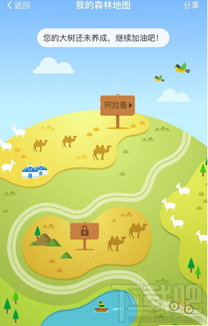 支付寶螞蟻森林地圖怎么進(jìn)入？螞蟻森林模擬地圖入口在哪