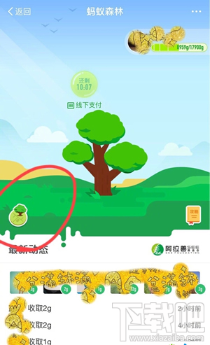 支付寶螞蟻森林地圖怎么進(jìn)入？螞蟻森林模擬地圖入口在哪