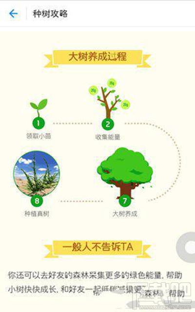 支付寶螞蟻森林澆水辦法？