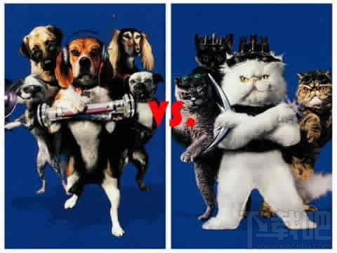 天貓超市和京東超市哪個好 京東超市和天貓超市全對比