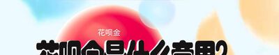 花唄金是什么意思？