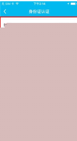 魚泡泡申請身份認證的流程