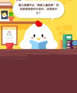 愛心捐贈(zèng)平臺(tái)“殘疾兒童助養(yǎng)”項(xiàng)目除資助醫(yī)療補(bǔ)助外，還資助什么?